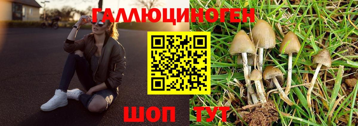 Псилоцибиновые грибы Cubensis  Вход с VPN  Тамбов 